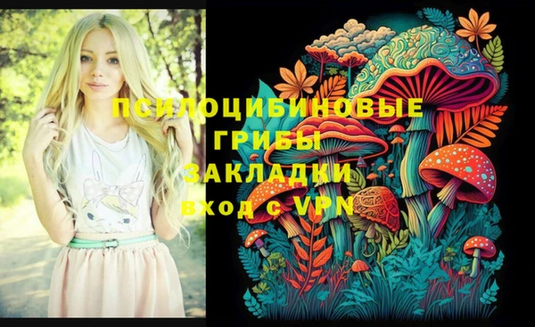 Альфа ПВП Богородск